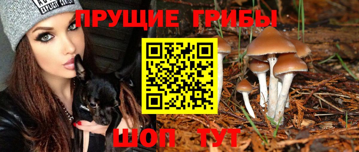 Галлюциногенные грибы прущие грибы Миллерово