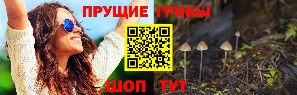 Миллерово  Псилоцибиновые грибы Psilocybe  Галлюциногенные грибы мицелий  Вход с VPN 